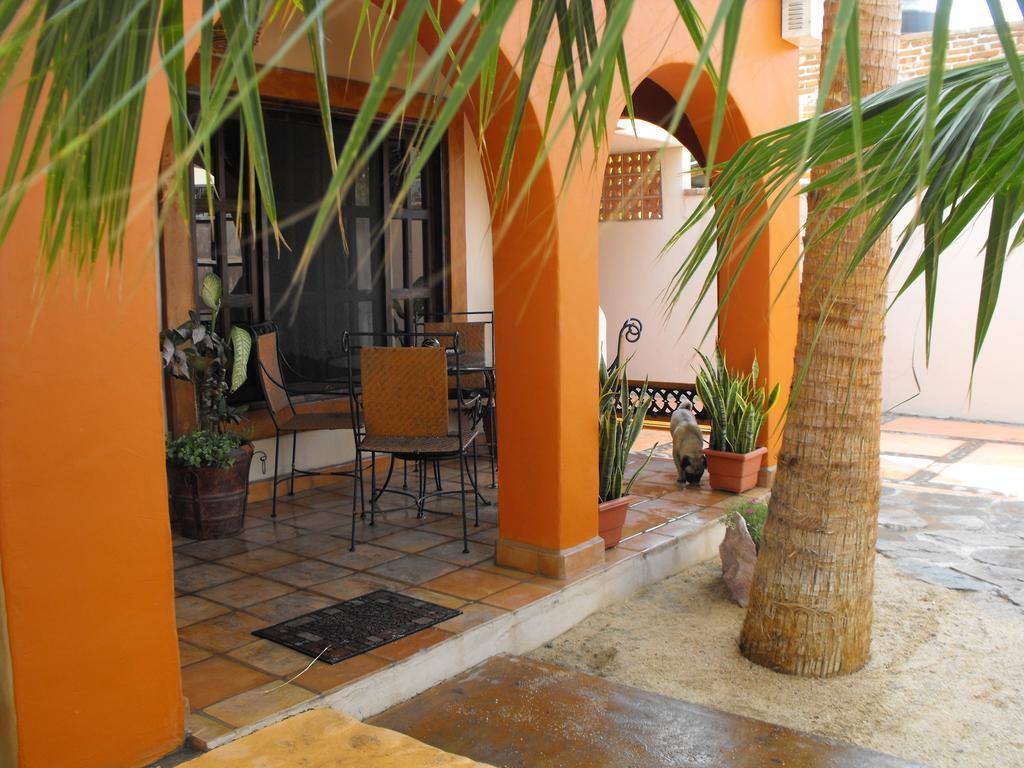 Leo'S Baja Oasis Hotel La Paz Szoba fotó